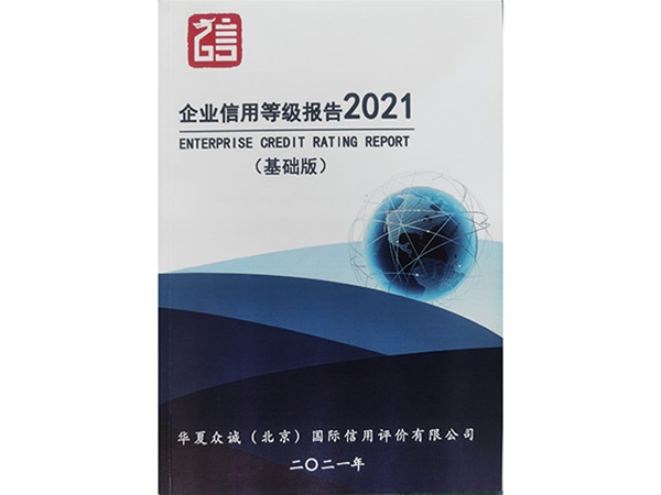 企業(yè)信用等級報告2021